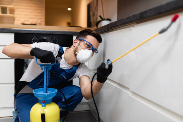 Trusted Pembroke Park, FL Pest Control Experts