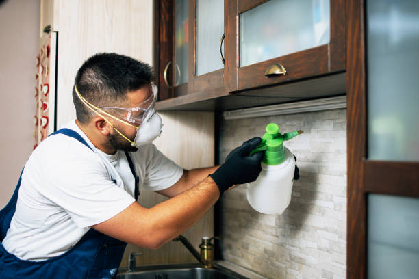 Best Affordable Pest Control Services  in Pembroke Park, FL