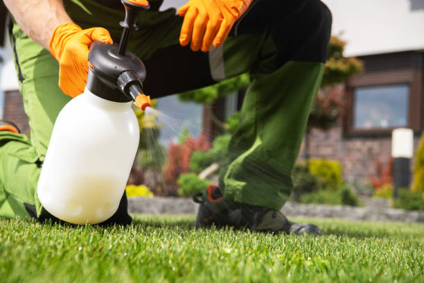 Best Commercial Pest Control Services  in Pembroke Park, FL