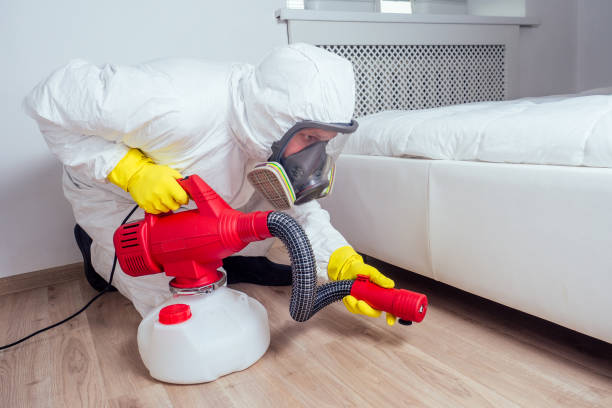 Best Termite Control Services  in Pembroke Park, FL