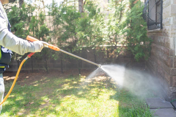 Best Local Pest Control Services  in Pembroke Park, FL