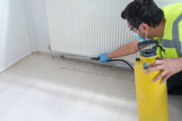 Best Residential Pest Control  in Pembroke Park, FL